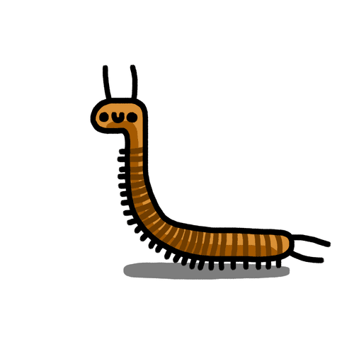 Long long Centipede