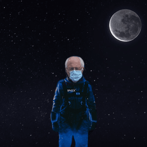 BernieTotheMoon