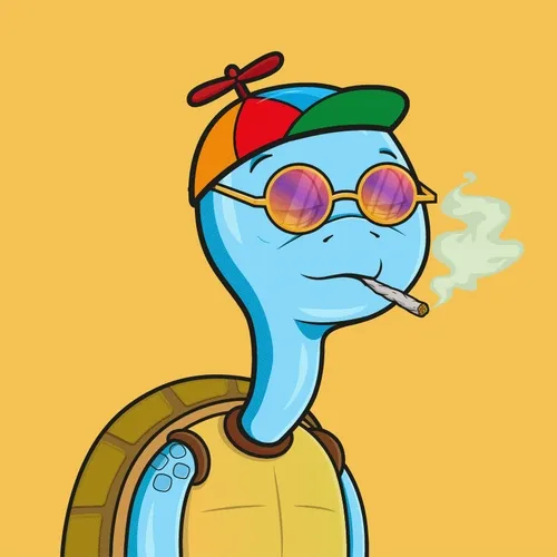 Sleezy Turtles