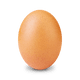 Just a simple Egg