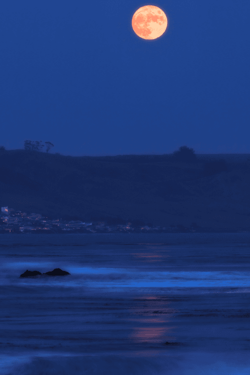 An ode to the Coast #12