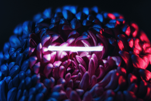 MMLightpainting