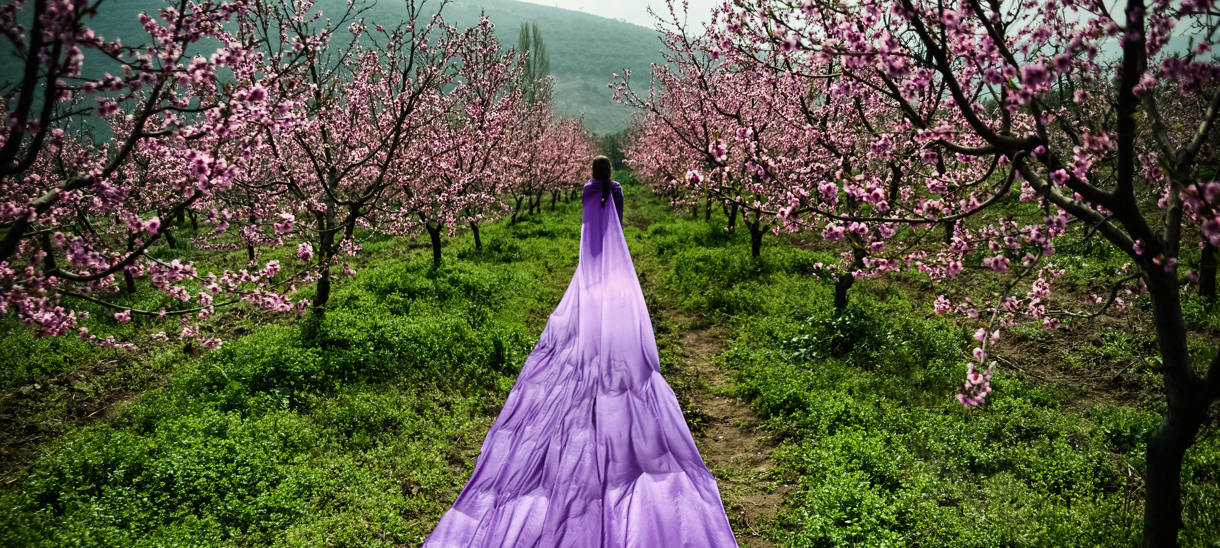 Spring at the Peach Land
