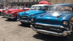 40 Hours in Havana collection image