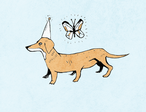 six legged birthday doge 