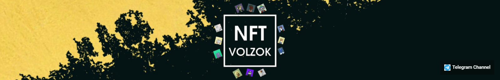 volzook_DMFORPRIVATESALE banner