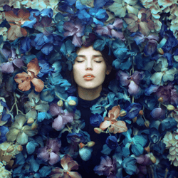 Portraits of Imagination by OPRISCO collection image