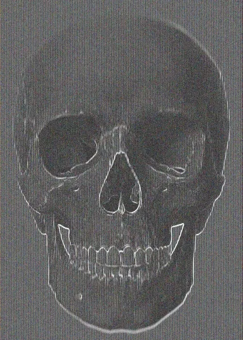 Memento Mori #266