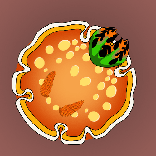 NudiBrand #145