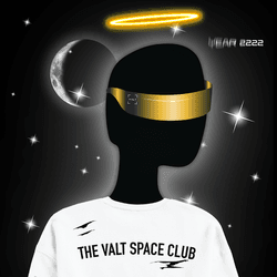 The Valt Space Club collection image