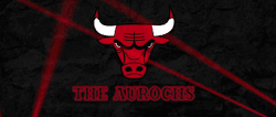 Chicago Bulls - THE AUROCHS collection image