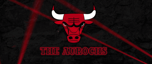 Chicago Bulls - THE AUROCHS