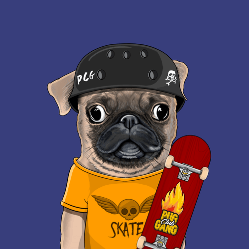 Pug #0164