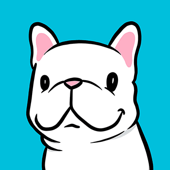 Boo The French Bulldog