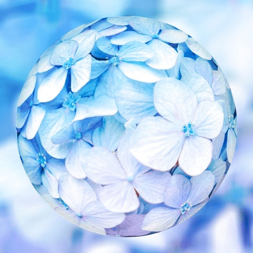 Marbles World : Hydrangea 1/5