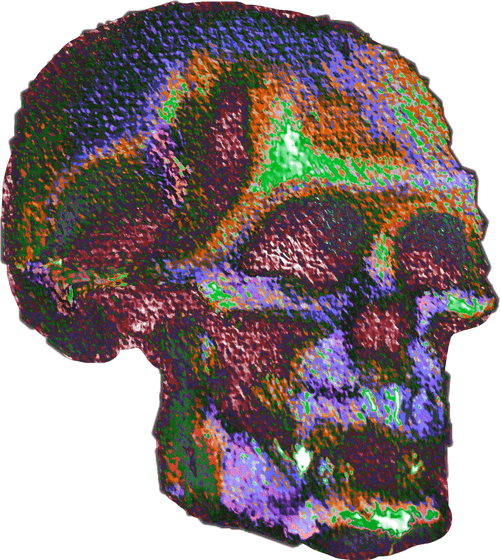 Hot Skull HLQ