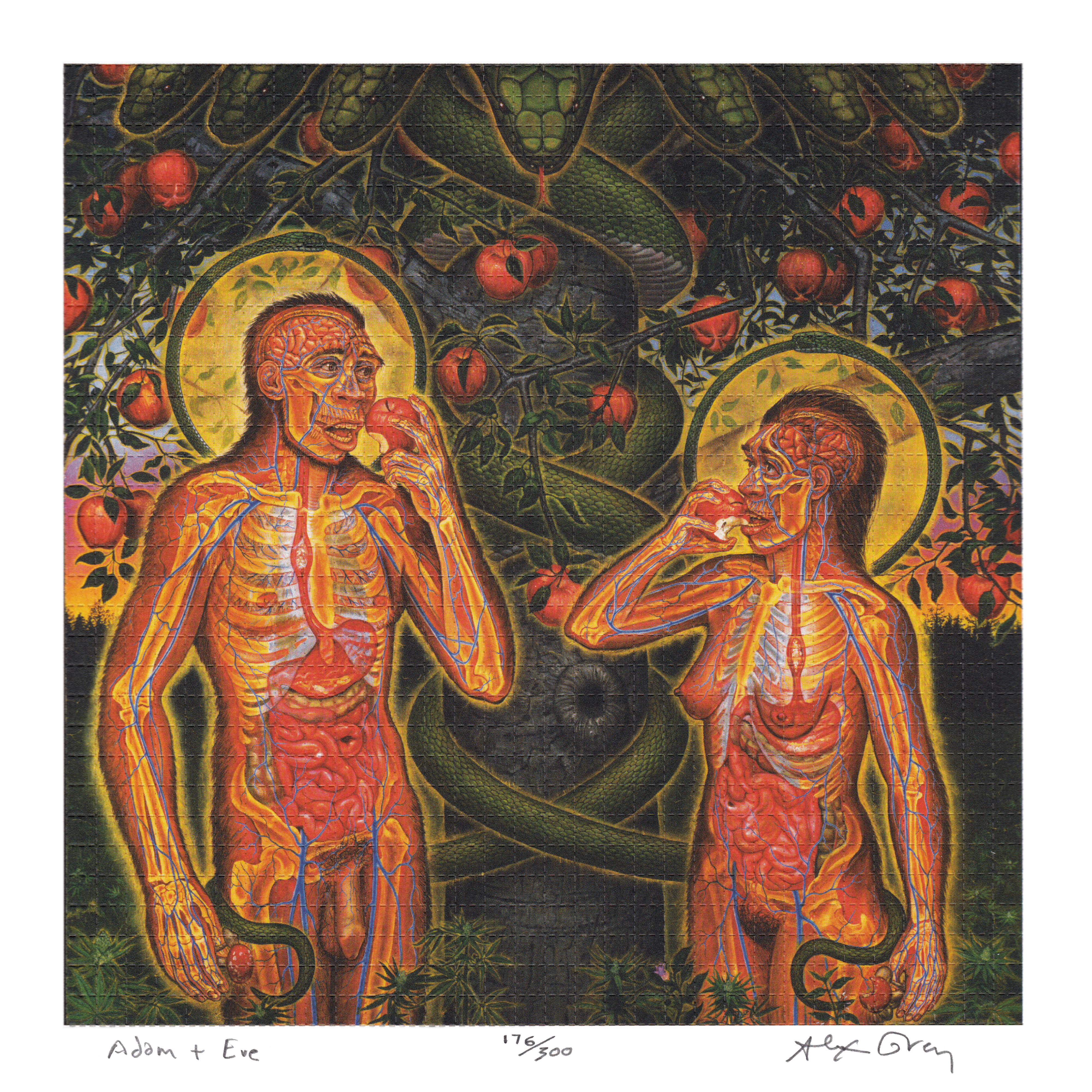Adam & Eve by Alex Grey as LSD Blotter Art #176/300