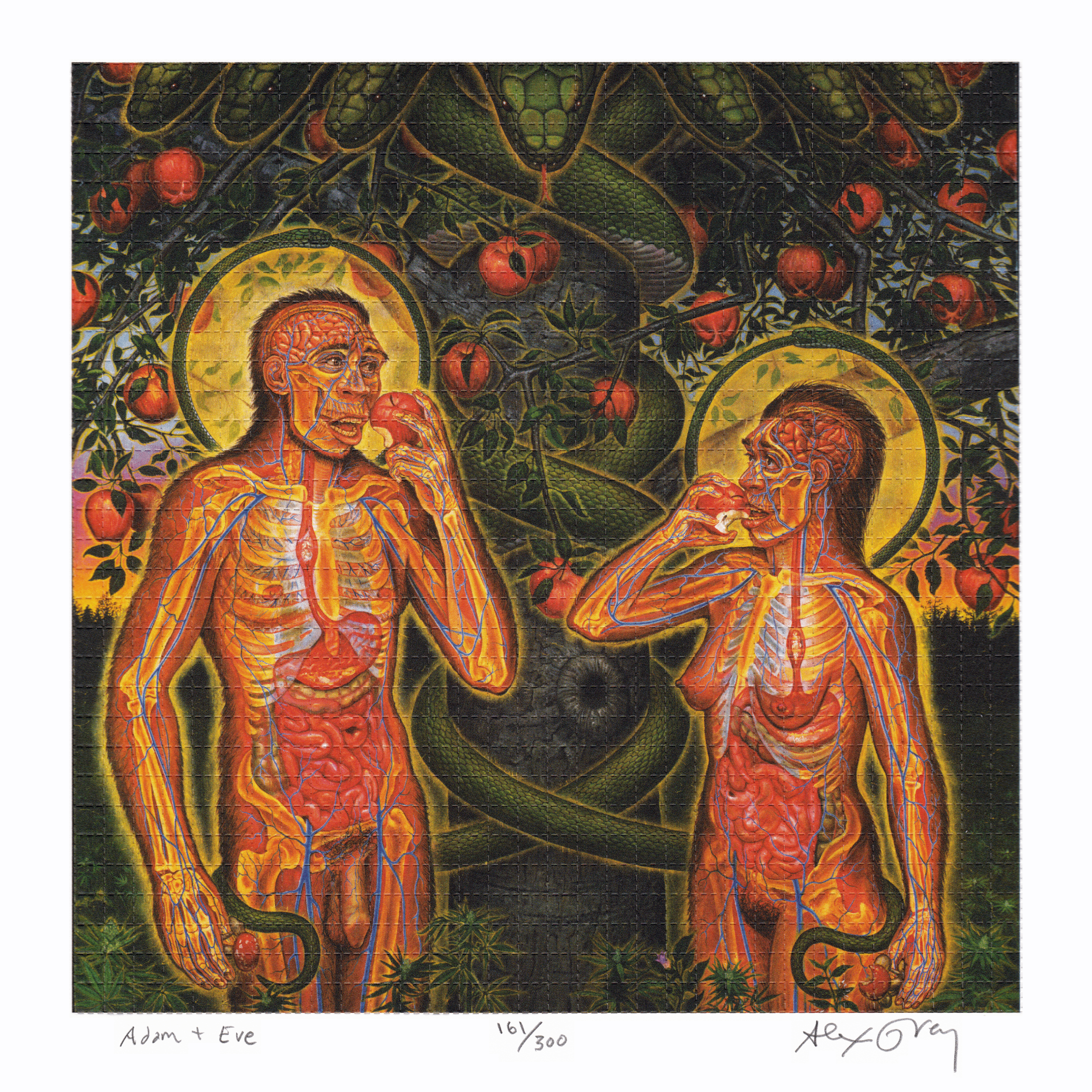 Adam & Eve by Alex Grey as LSD Blotter Art #161/300