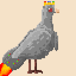 Project Pigeon collection image
