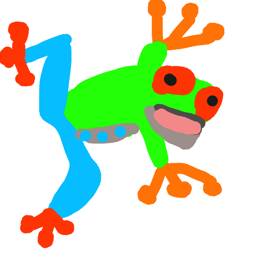 Red Eyed Tree Frog