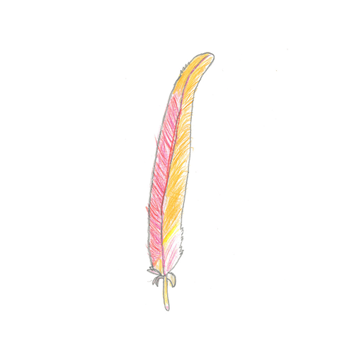 flamingo feather #001