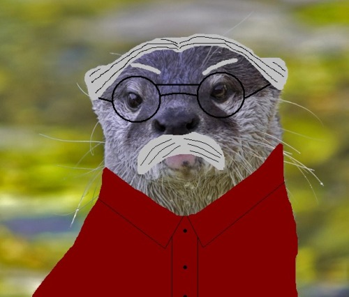 Wilford Brimley Otter