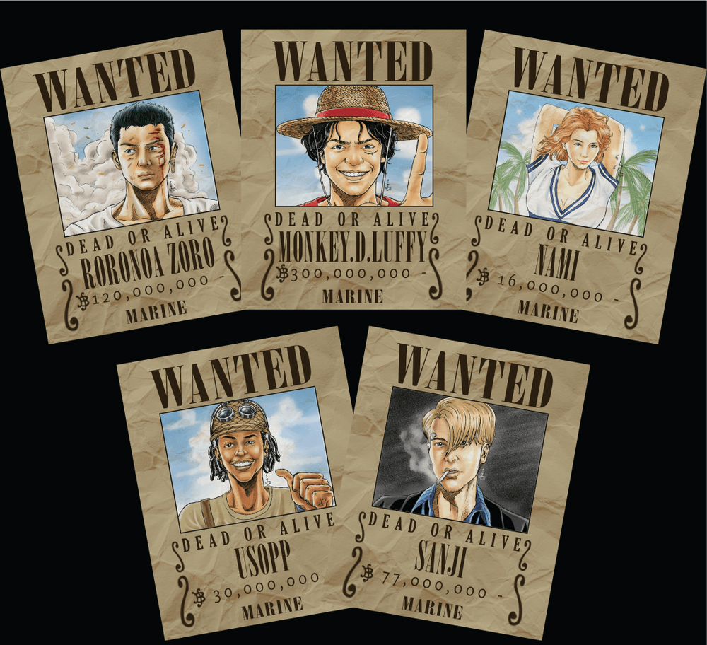 straw hat pirates bounty