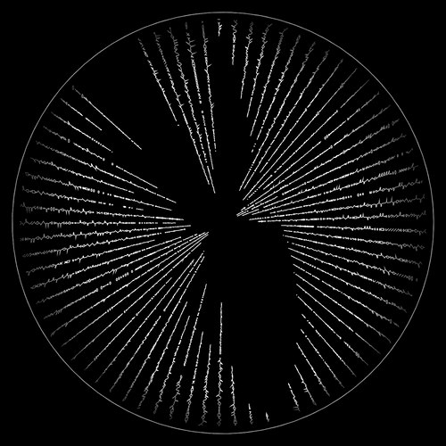 codex -1719234565.