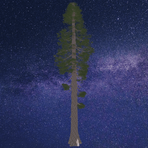 _mintForest Redwood #10