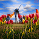The Tulip Fields of Crypto!!! - old