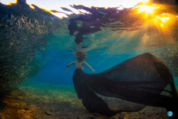 Underwater World collection image