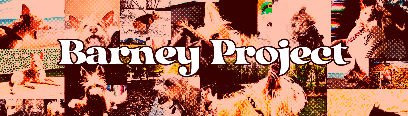 The Barney Project - Collection | OpenSea