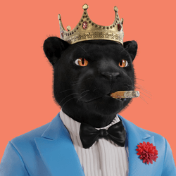 Meta Panther Club - Official