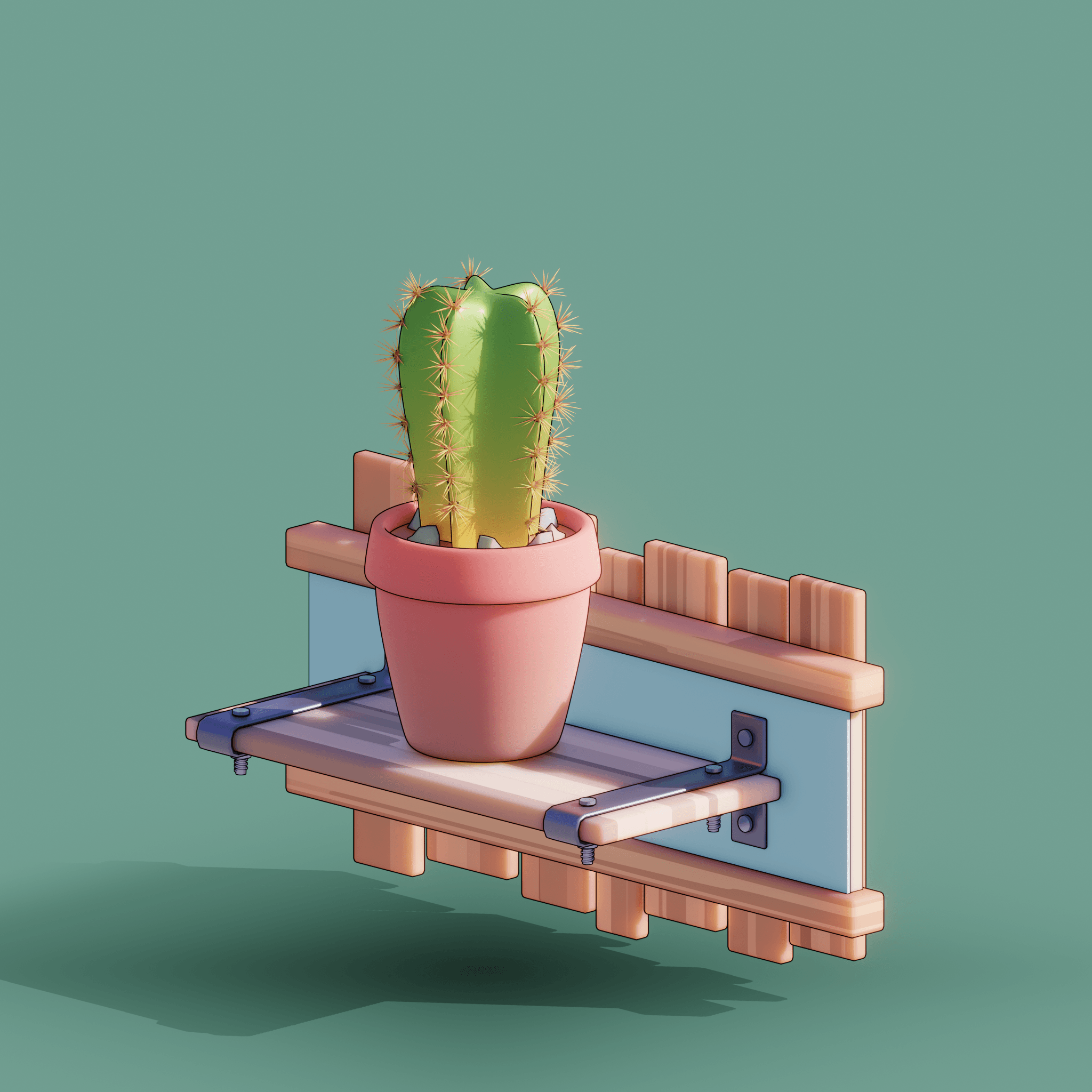 Cactus On a Shelf