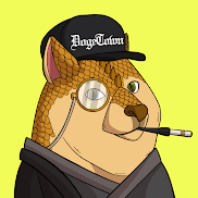 Force Slumdoge