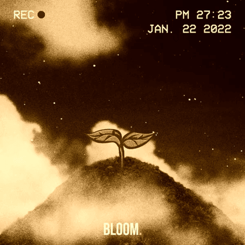 [LIMITED EDITION] Bloom. 🌸 #1