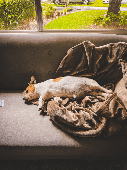 Dlawr: Photo a Day #180