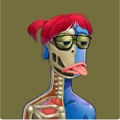 Anatomy Rare Apepe YC #2768