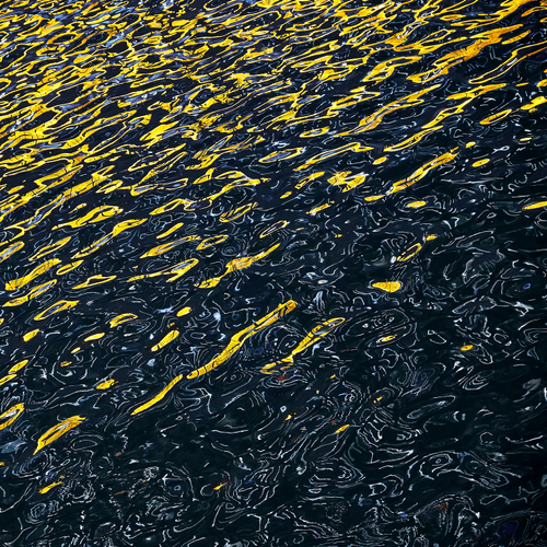 Fleeting Reflections - Mike Curry