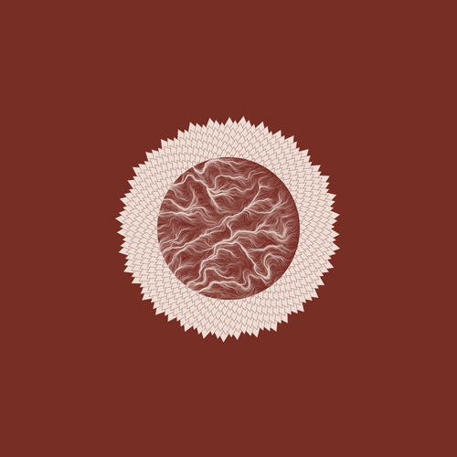 Polyflows