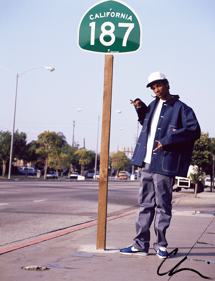 Snoop Dogg 187 Los Angeles, CA 1993 from the hip hop images digital poster series by Chi Modu