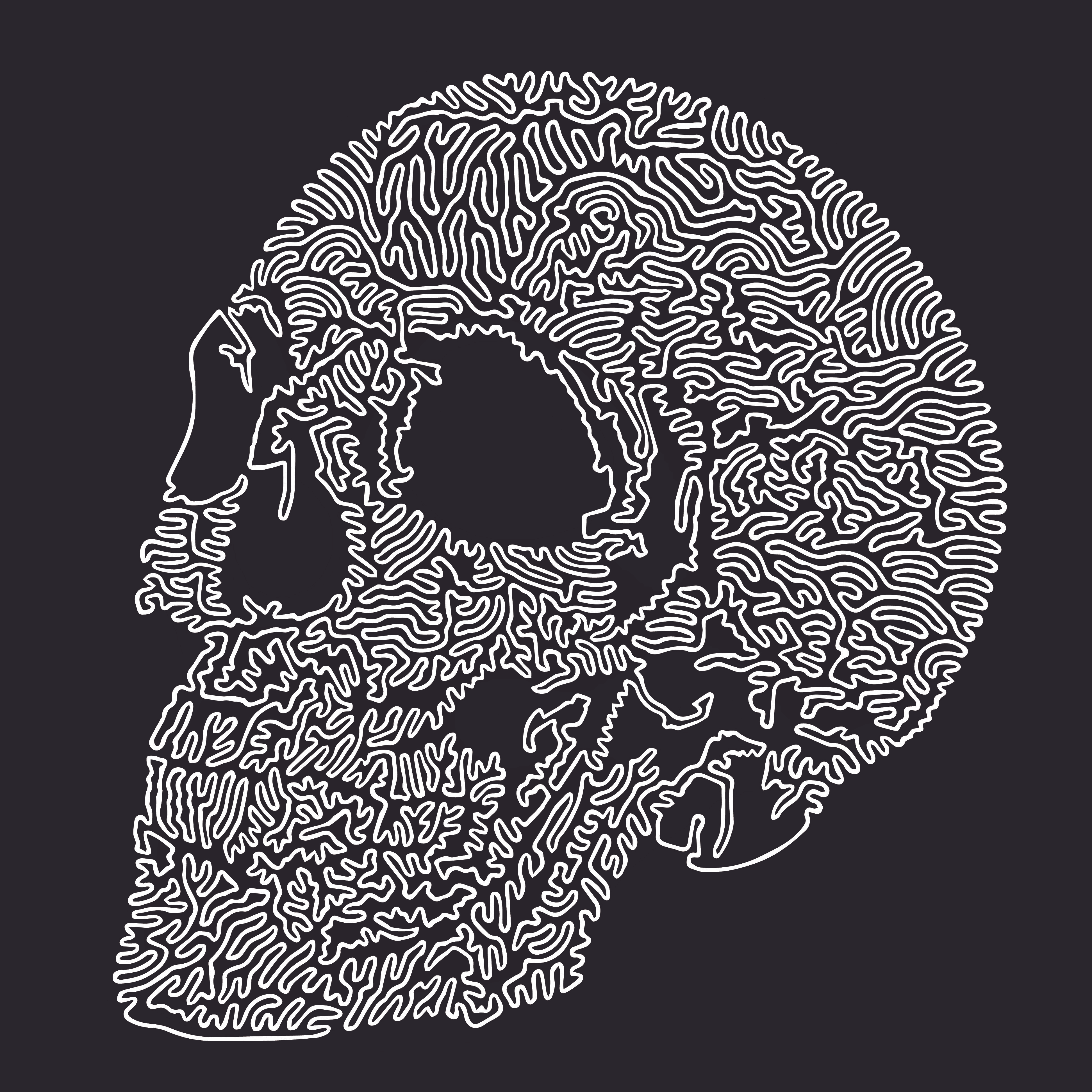 The Skull 