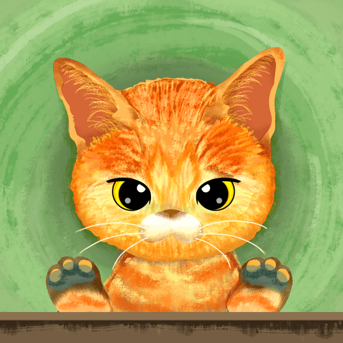 Orange short hair Cat