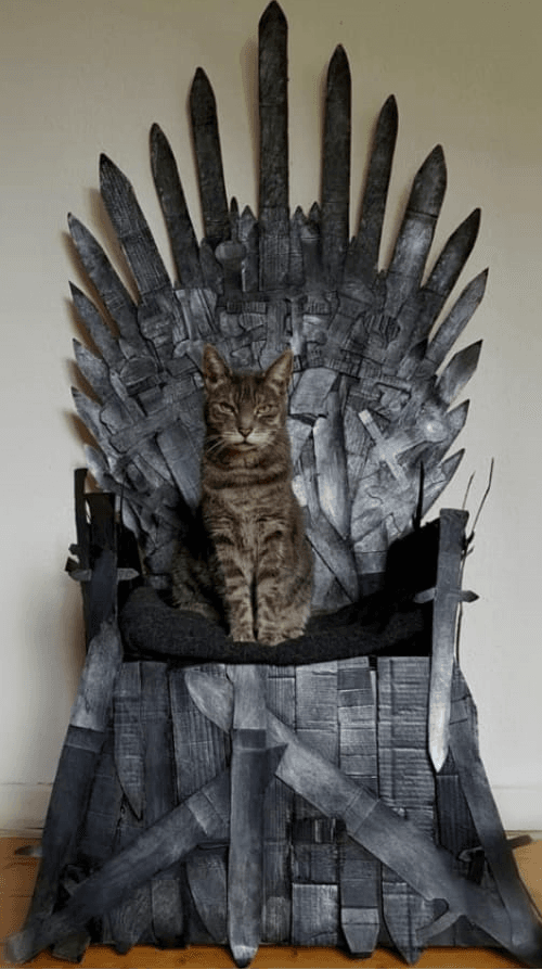 Otis the Cat on throne #001