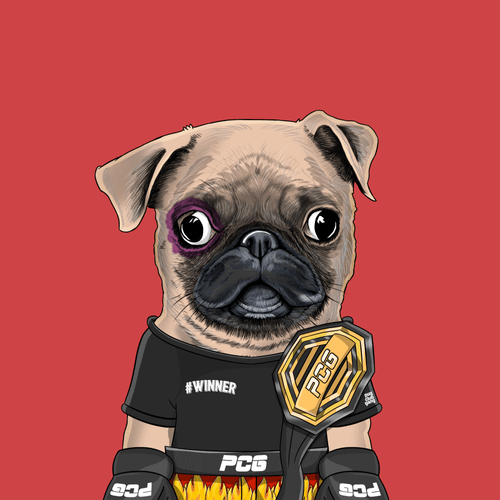 Pug #0156