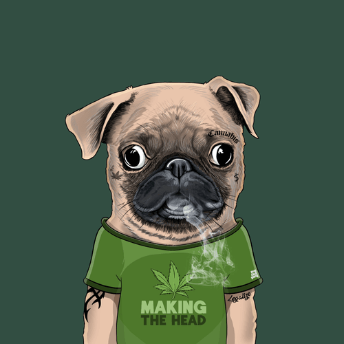 Pug #0116