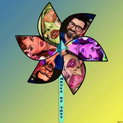 Pinwheel #536 House Of Tony