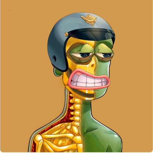 Anatomy Rare Apepe YC #7166