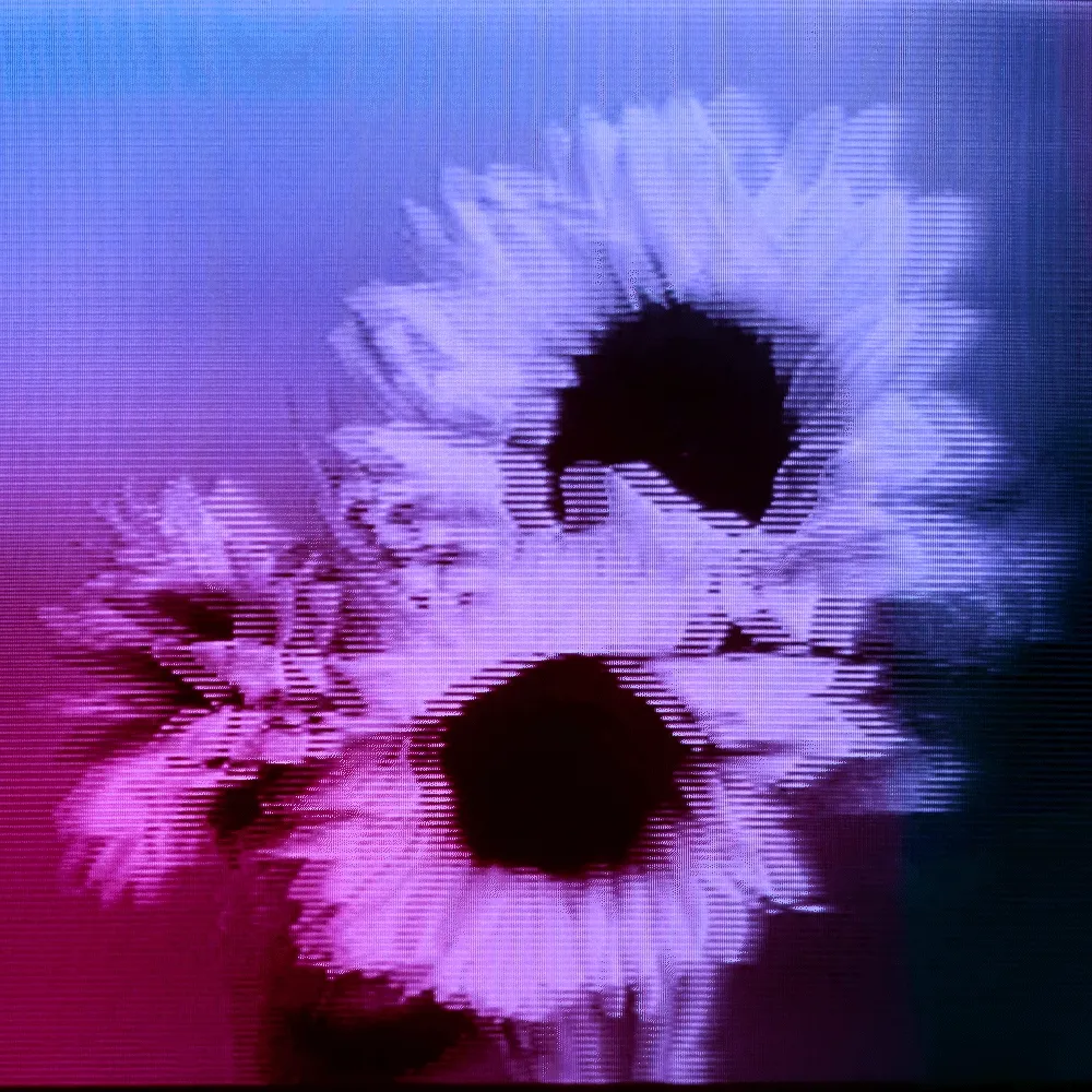 Flower #09