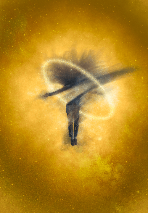 Collection Logo